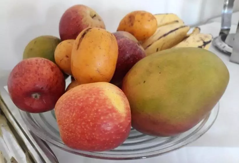 هاستل Vilas Florence