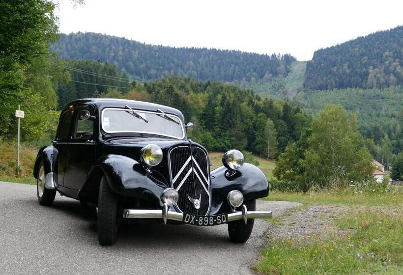 צימר Bluets Et Brimbelles