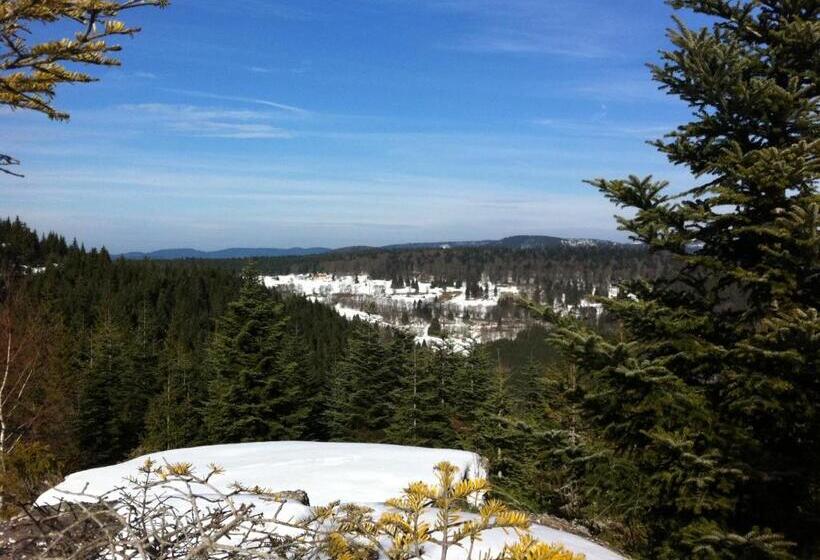 צימר Bluets Et Brimbelles