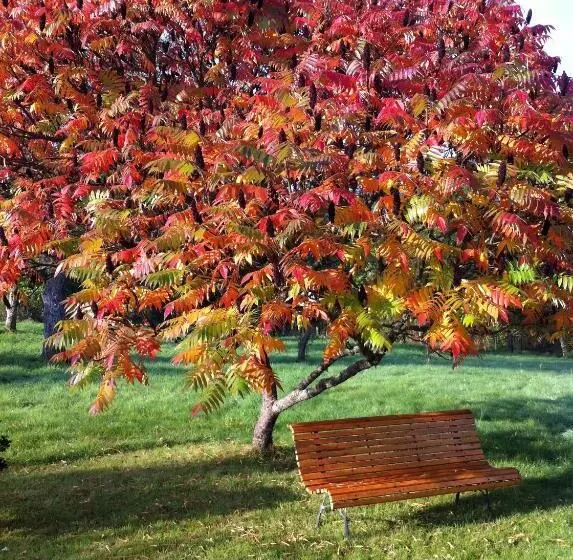 Aamiaismajoitus (B&B) Bluets Et Brimbelles