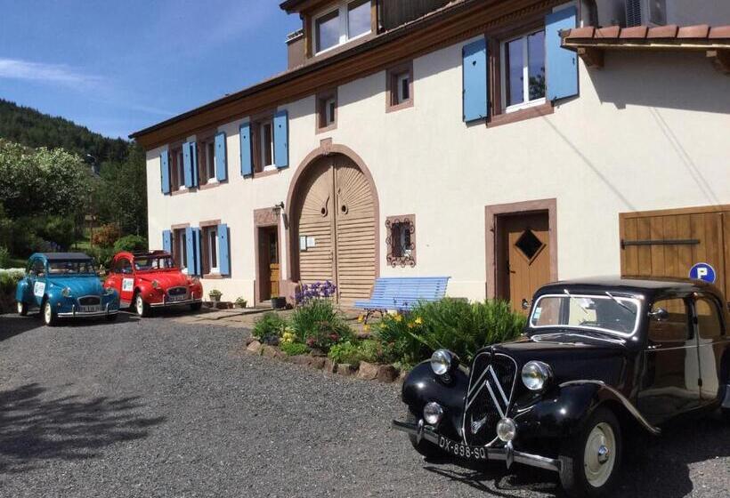 צימר Bluets Et Brimbelles