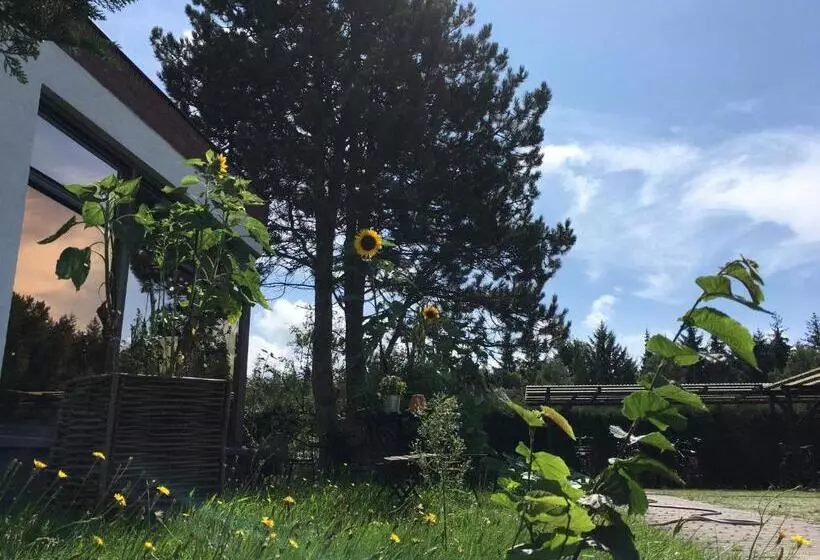 Pension Seeadler