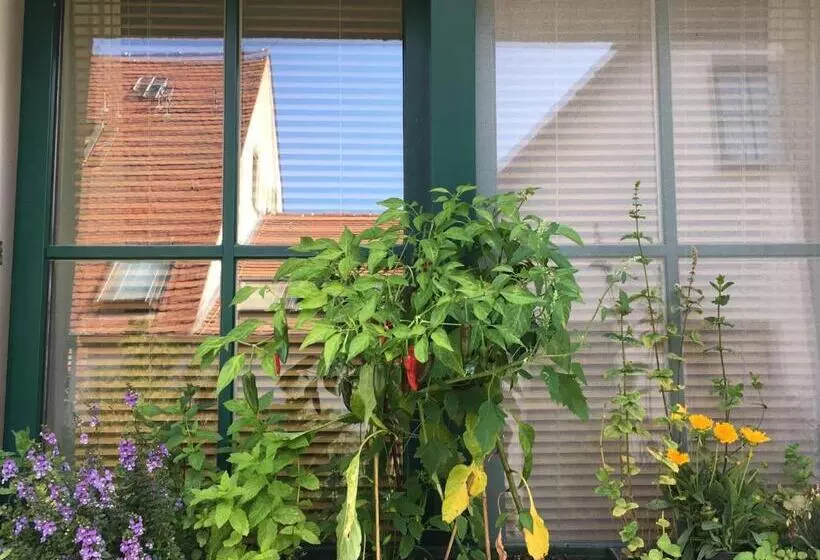 Pension Seeadler