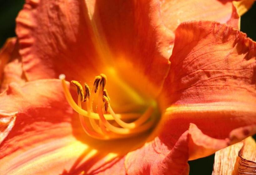 膳宿费 La Maison Jaune D Eastman