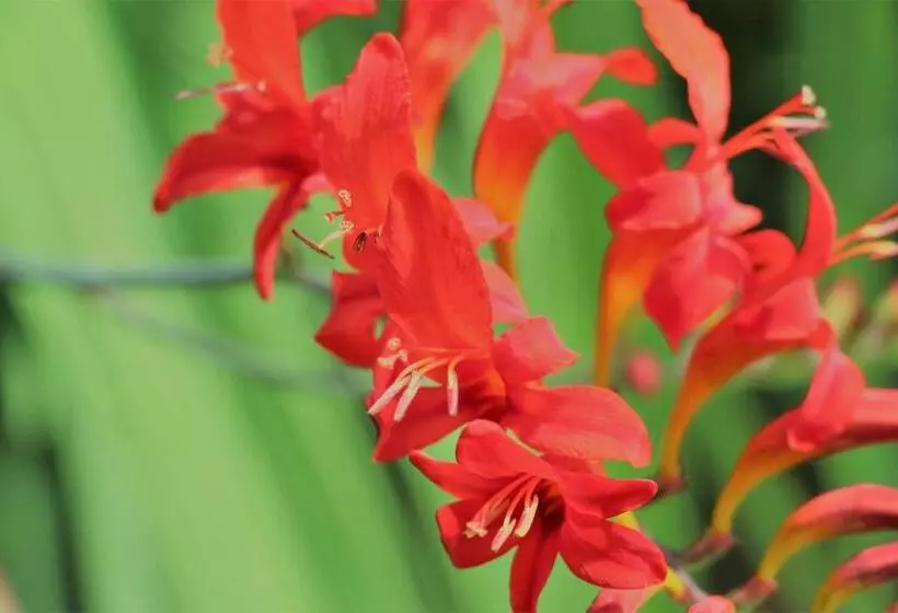 Majatalo La Maison Jaune D Eastman