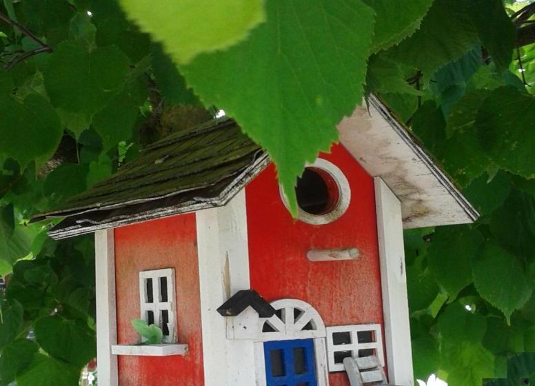 膳宿费 Ferienwohnung Holl