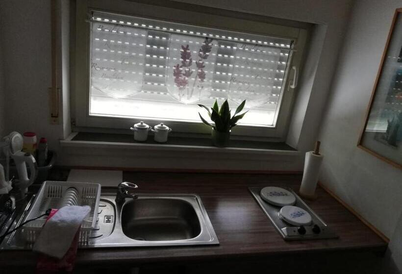 膳宿费 Ferienwohnung Holl