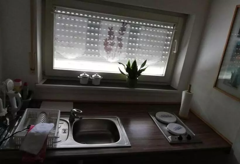 ペンション Ferienwohnung Holl