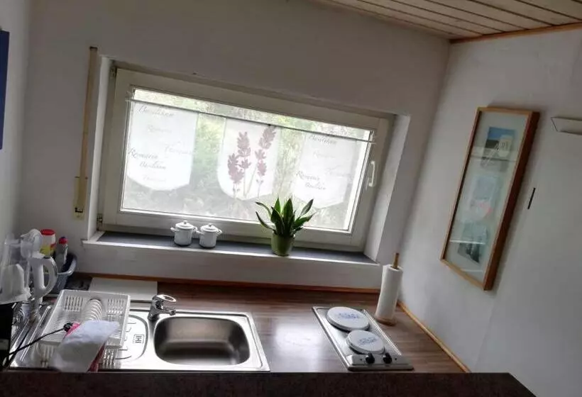 ペンション Ferienwohnung Holl