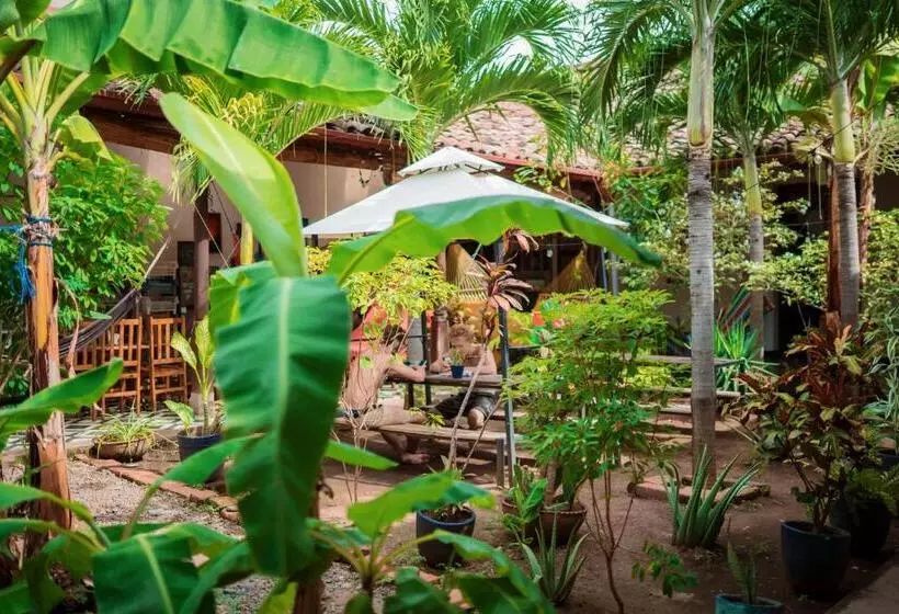 پانسیون Hostal Azul