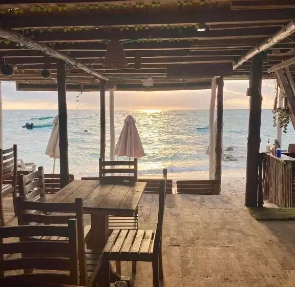 ペンション Raw Kokomar Posadanativa