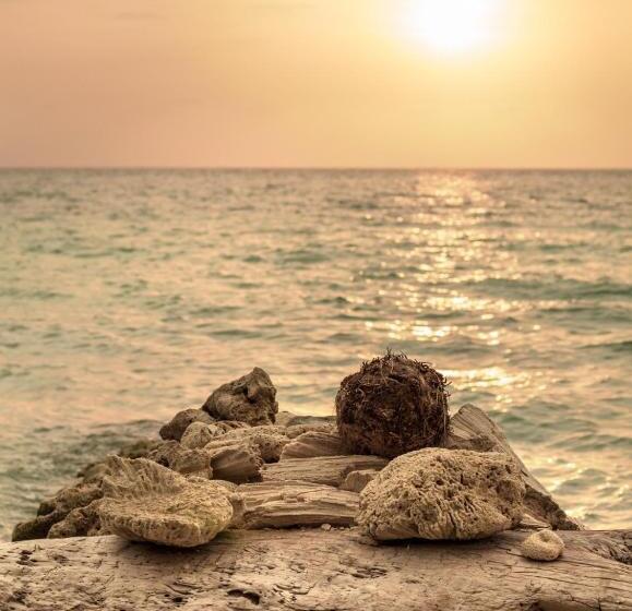 پانسیون Raw Kokomar Posadanativa