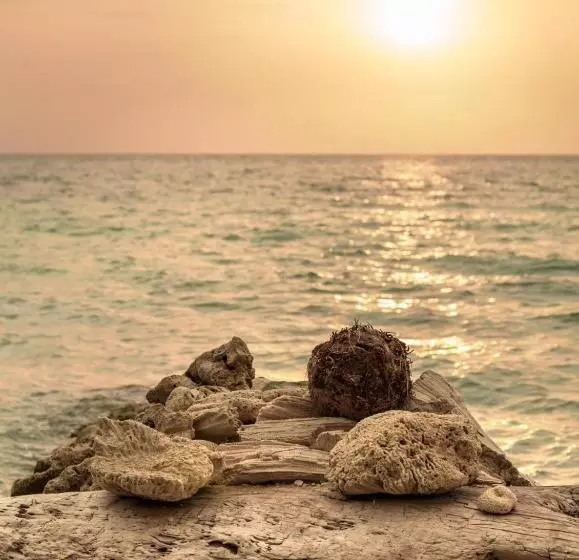 ペンション Raw Kokomar Posadanativa