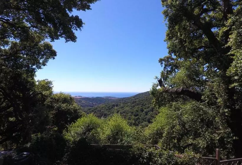 B&b Kia Ora