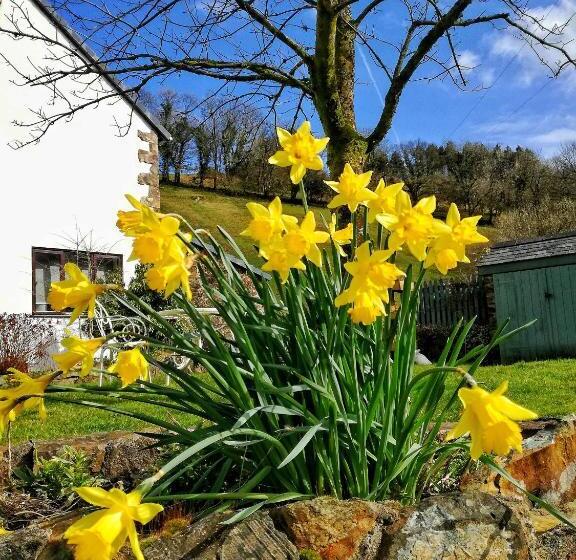 פנסיון Neuadd Wen Guest House