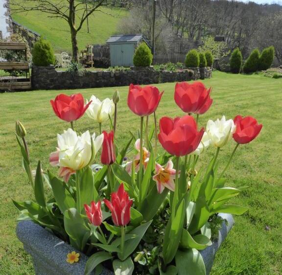 פנסיון Neuadd Wen Guest House