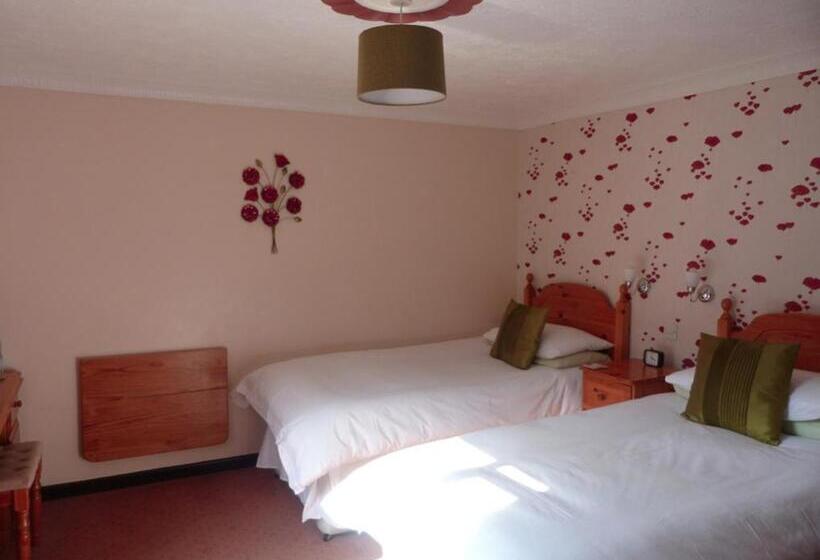 פנסיון Neuadd Wen Guest House