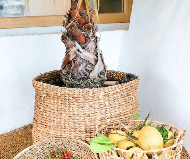 تختخواب و صبحانه San Michele