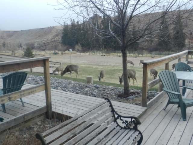 فندق على الطريق Rocky Mountain Lodge