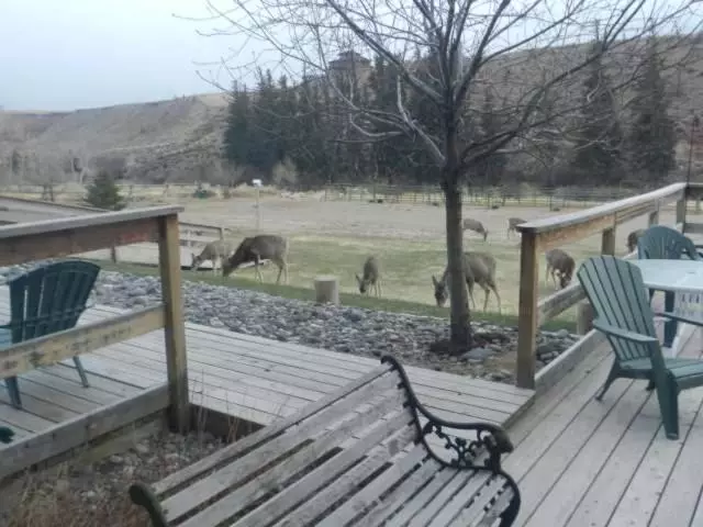 Motelli Rocky Mountain Lodge