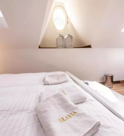 ペンション Penzion Vila Slavia