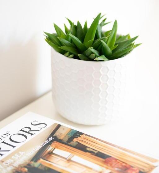 膳宿费 Pinehill Rooms