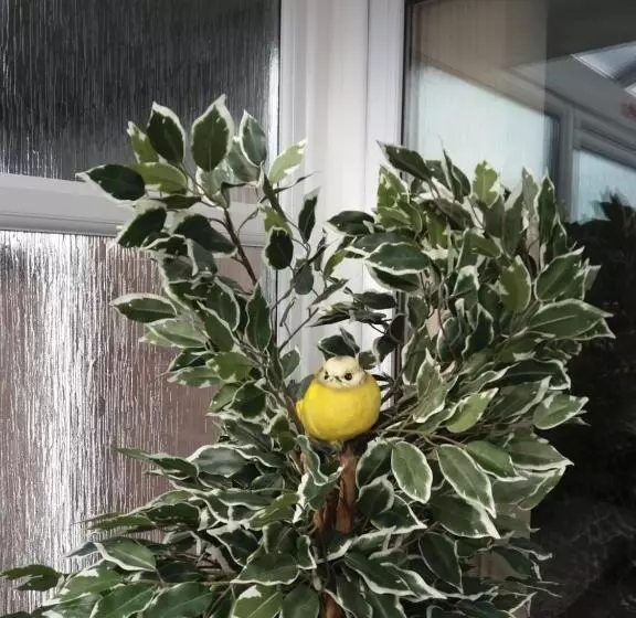 پانسیون Southernwind   Spareroom