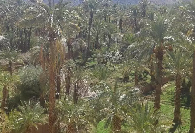 پانسیون Kasbah Maktob Tamnougalt