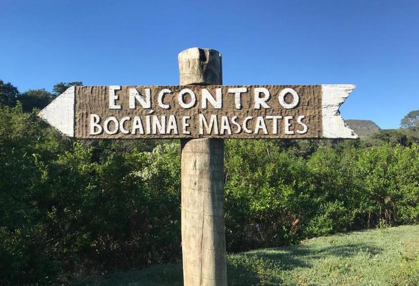 بنسيون Pousada Tio Loco