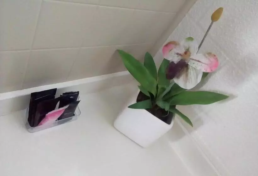 Majatalo Redwood Lodge Motel