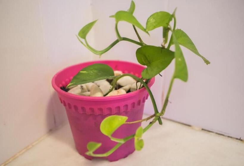 Pensjonat Im 96 Villa