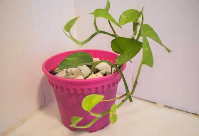 Pensjonat Im 96 Villa