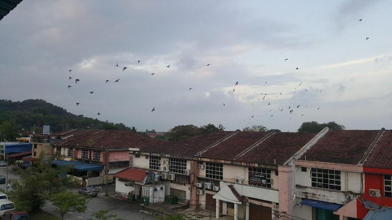 Pensjonat Im 96 Villa