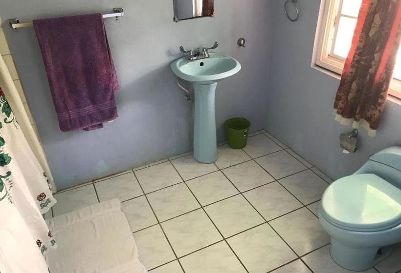 پانسیون Marvey S Place