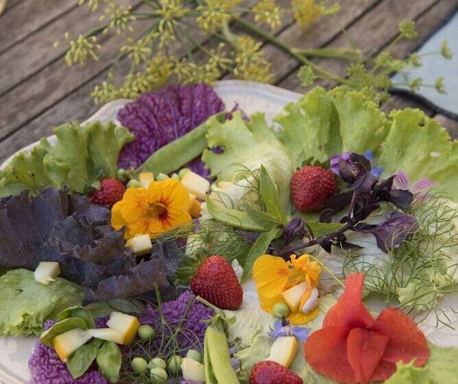 تختخواب و صبحانه Ferme Les Callis