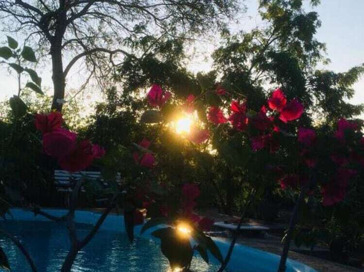 פנסיון Macambira Café Pousada