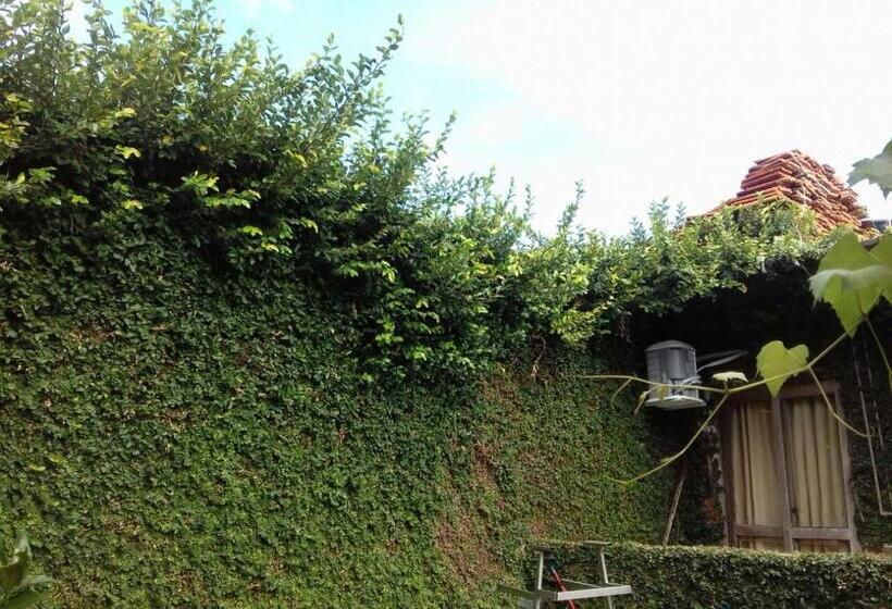 پانسیون Pousada Da Lu Em Pelotas