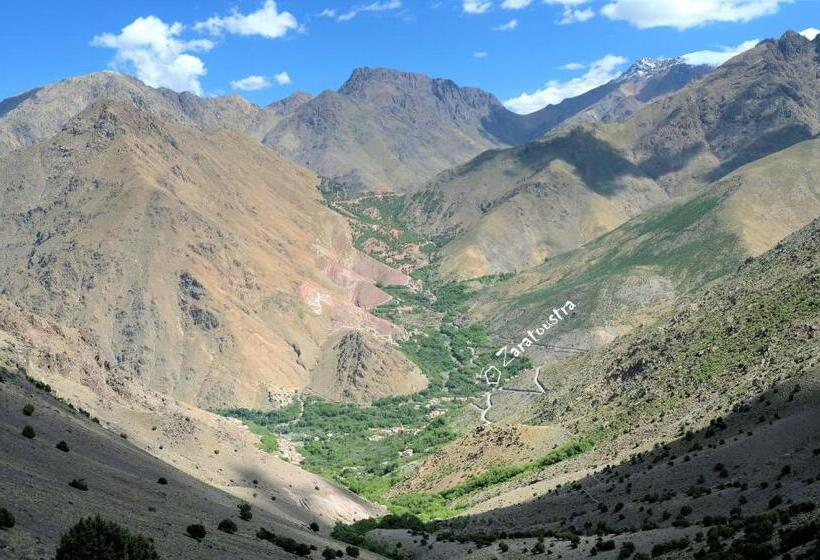 هاستل Zaratoustra