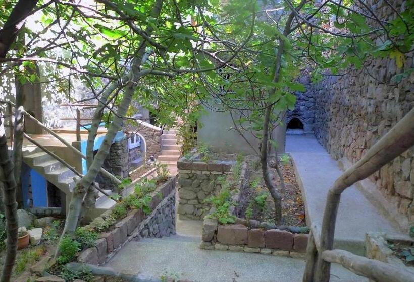 هاستل Zaratoustra