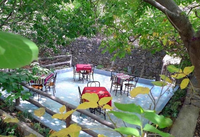 هاستل Zaratoustra