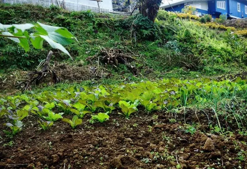 تختخواب و صبحانه The Barfung Retreat