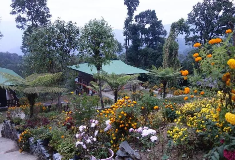 تختخواب و صبحانه The Barfung Retreat