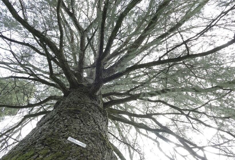 בית מלון כפרי Rural Villa Onuba