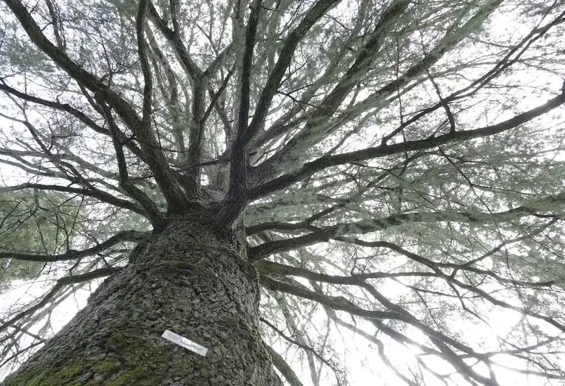 Hotelli Rural Villa Onuba