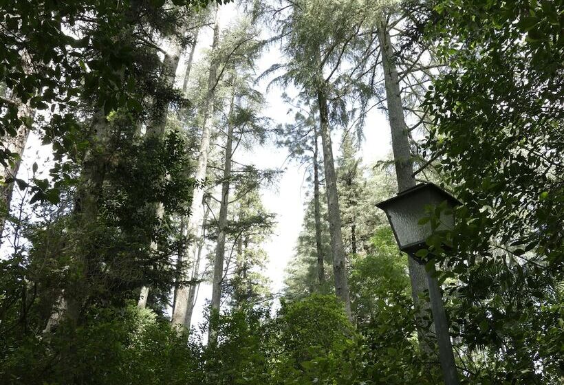 בית מלון כפרי Rural Villa Onuba