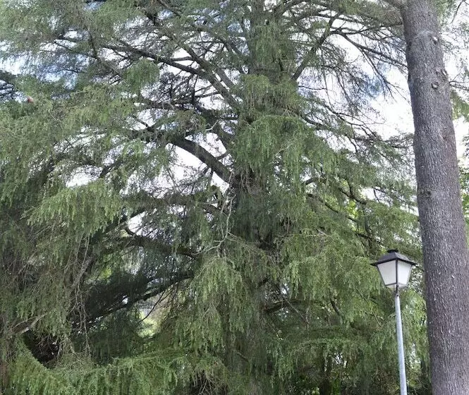 Hotelli Rural Villa Onuba