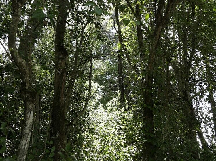 בית מלון כפרי Rural Villa Onuba