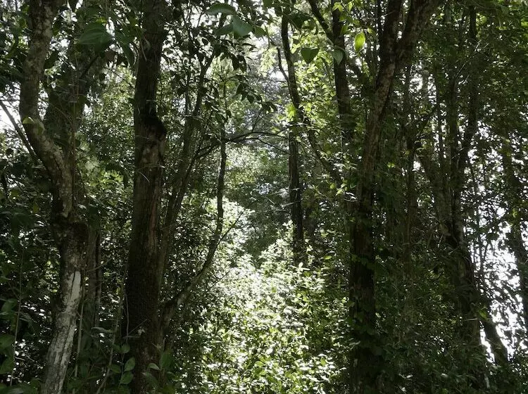 Hotelli Rural Villa Onuba