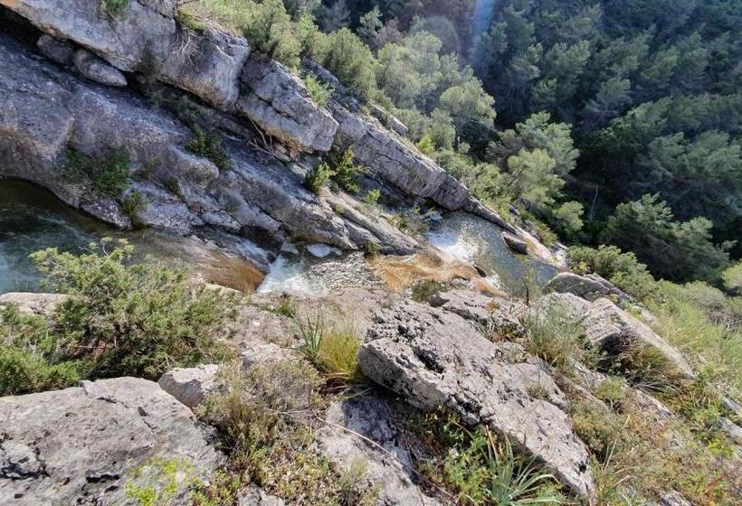 膳宿费 Apartamentos La Venta Del Rome