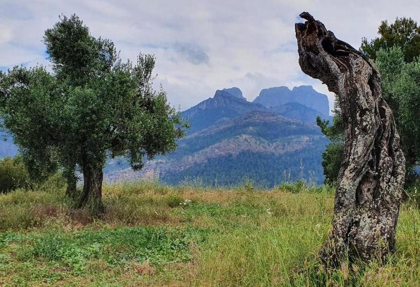 膳宿费 Apartamentos La Venta Del Rome